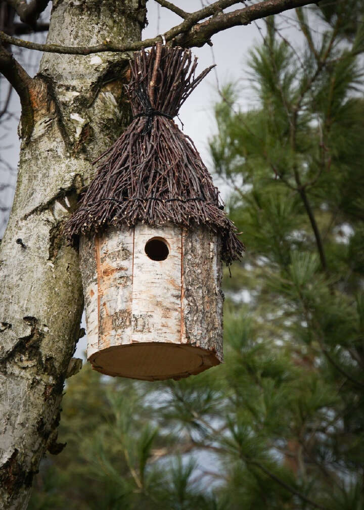 PATKAR Nistkasten mit Reisigdach